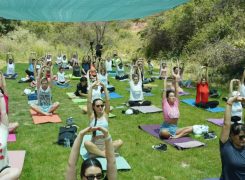 “GLOBAL WELLNESS DAY” – Bir kun butun hayotingni o‘zgartirishi mumkin! / Uz Report
