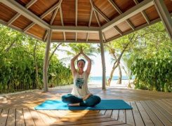 Lily Hotels primed to Celebrate Global Wellness Day  / Travel Daily News