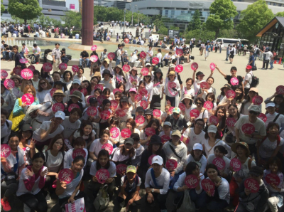 Osaka Castle Walk.png